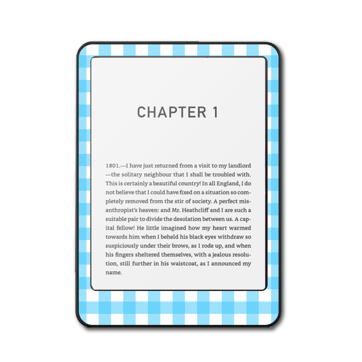 Aqua Picnic e-reader skin front mockup