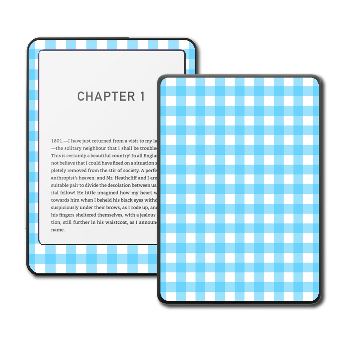 Aqua Picnic Kindle Kobo and ColorSoft e-reader skin