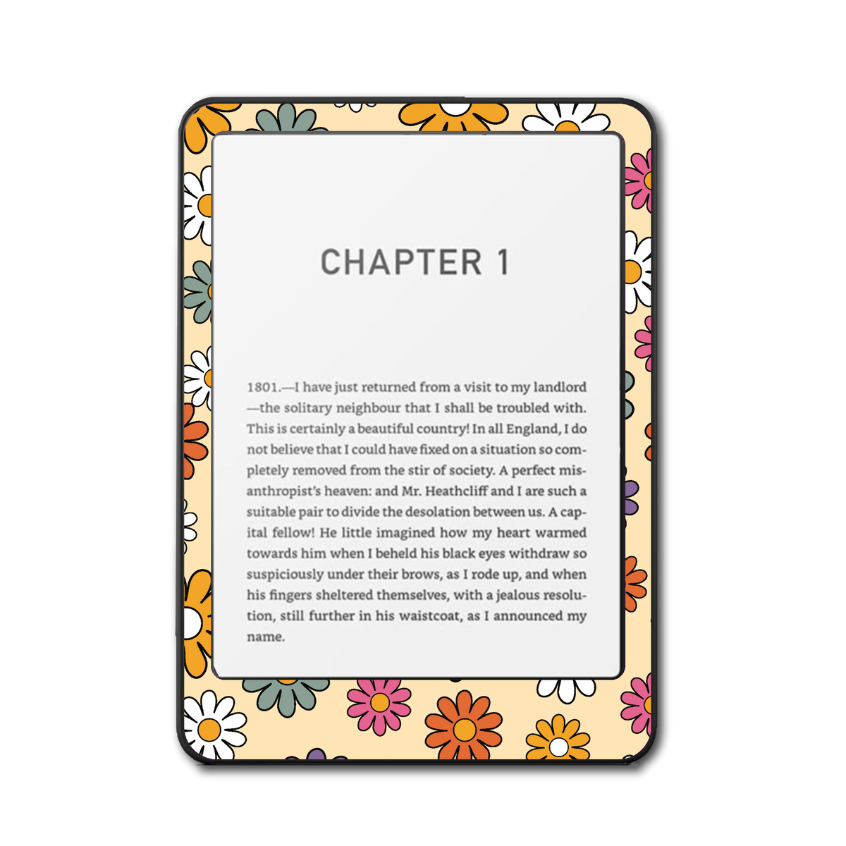 Kindle, Kobo & ColorSoft Skin - Colorburst