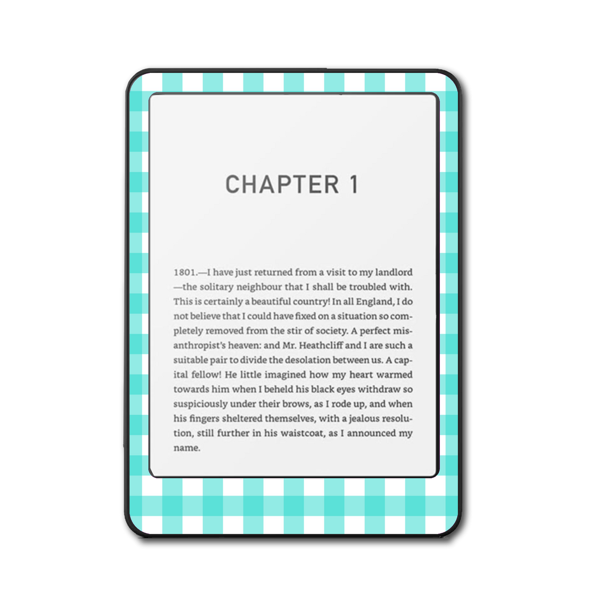 Cotton Picnic e-reader skin front mockup