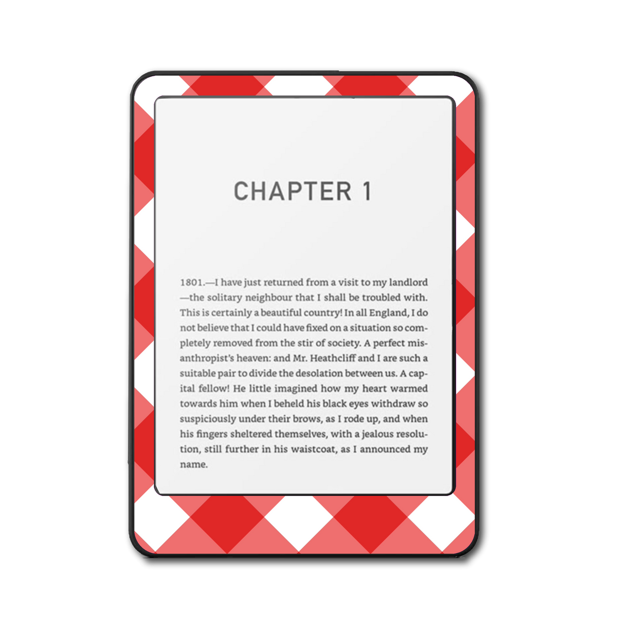 Picnic Pop e-reader skin front mockup