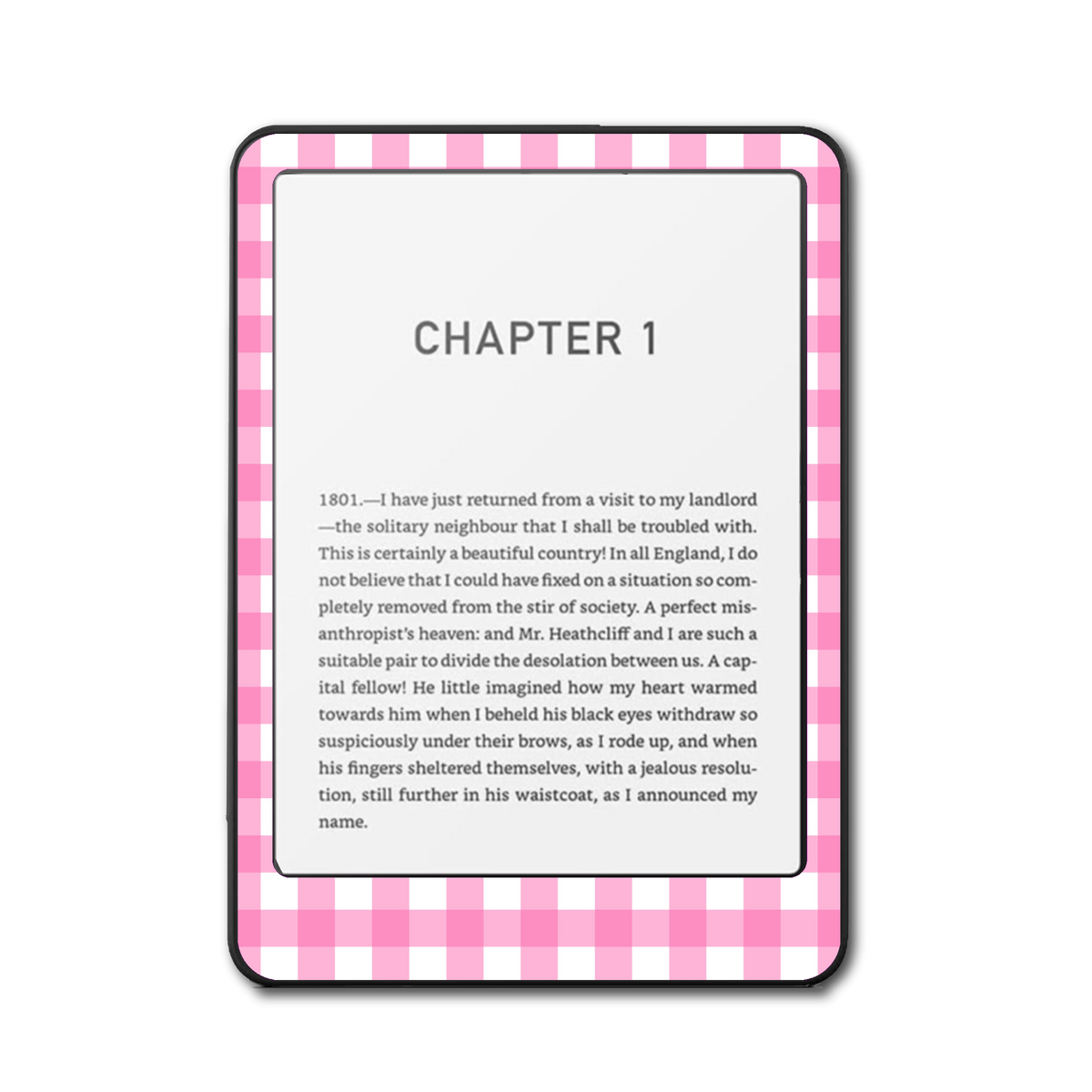 Raspberry Picnic e-reader skin front mockup