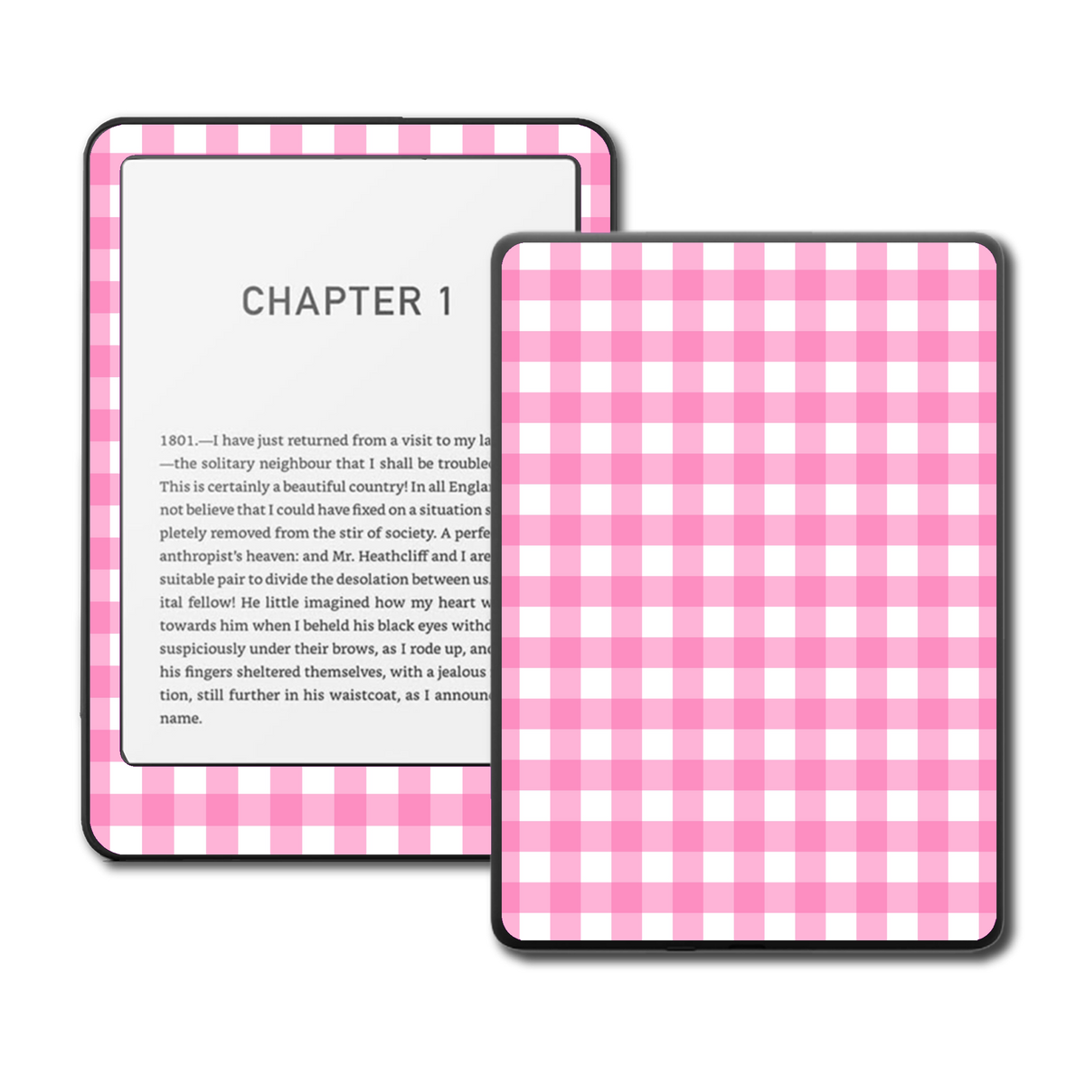 Raspberry Picnic Kindle Kobo and ColorSoft e-reader skin
