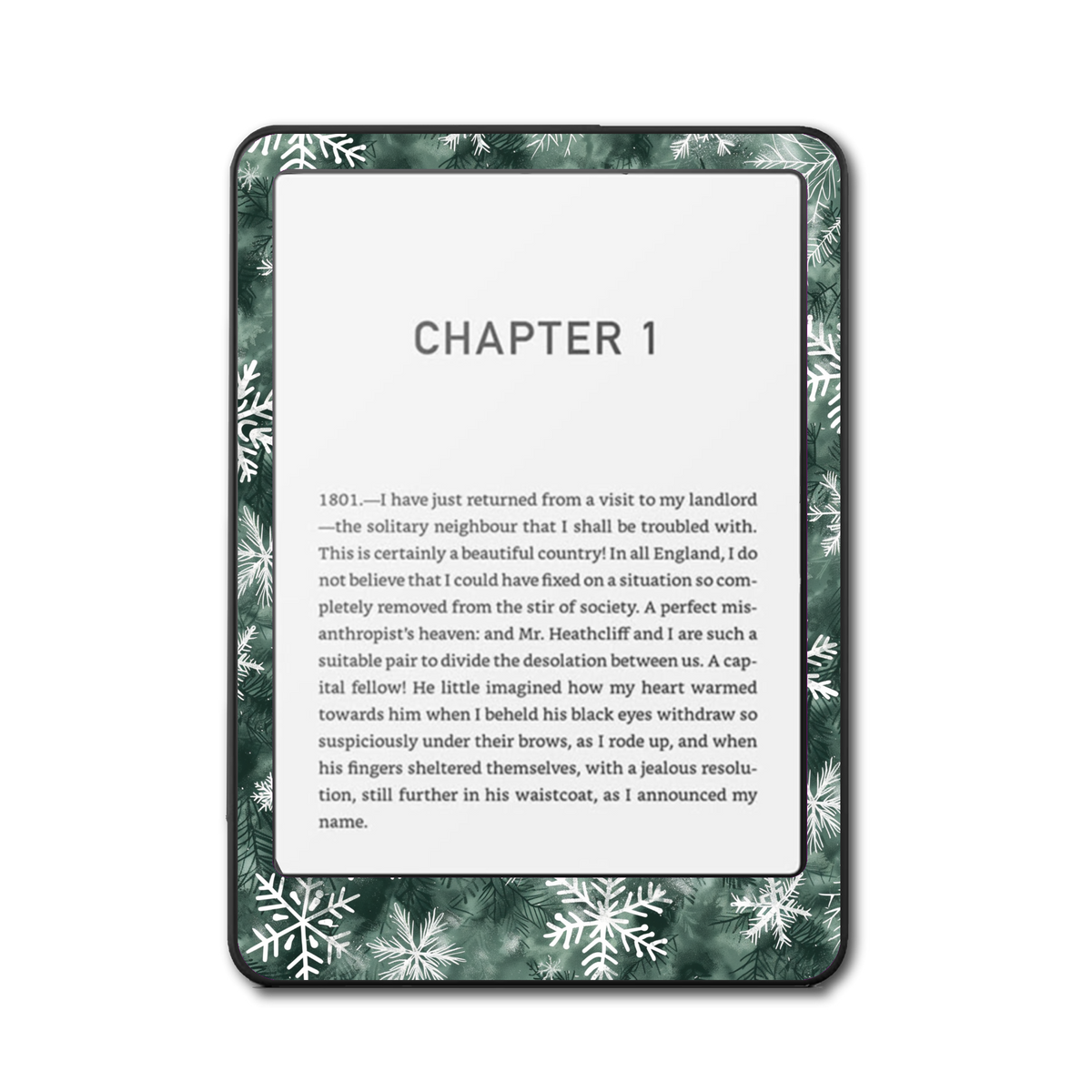 Winter Flakes e-reader skin front mockup