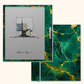Emerald Gilded Marble Boox Go Color 7 Skin