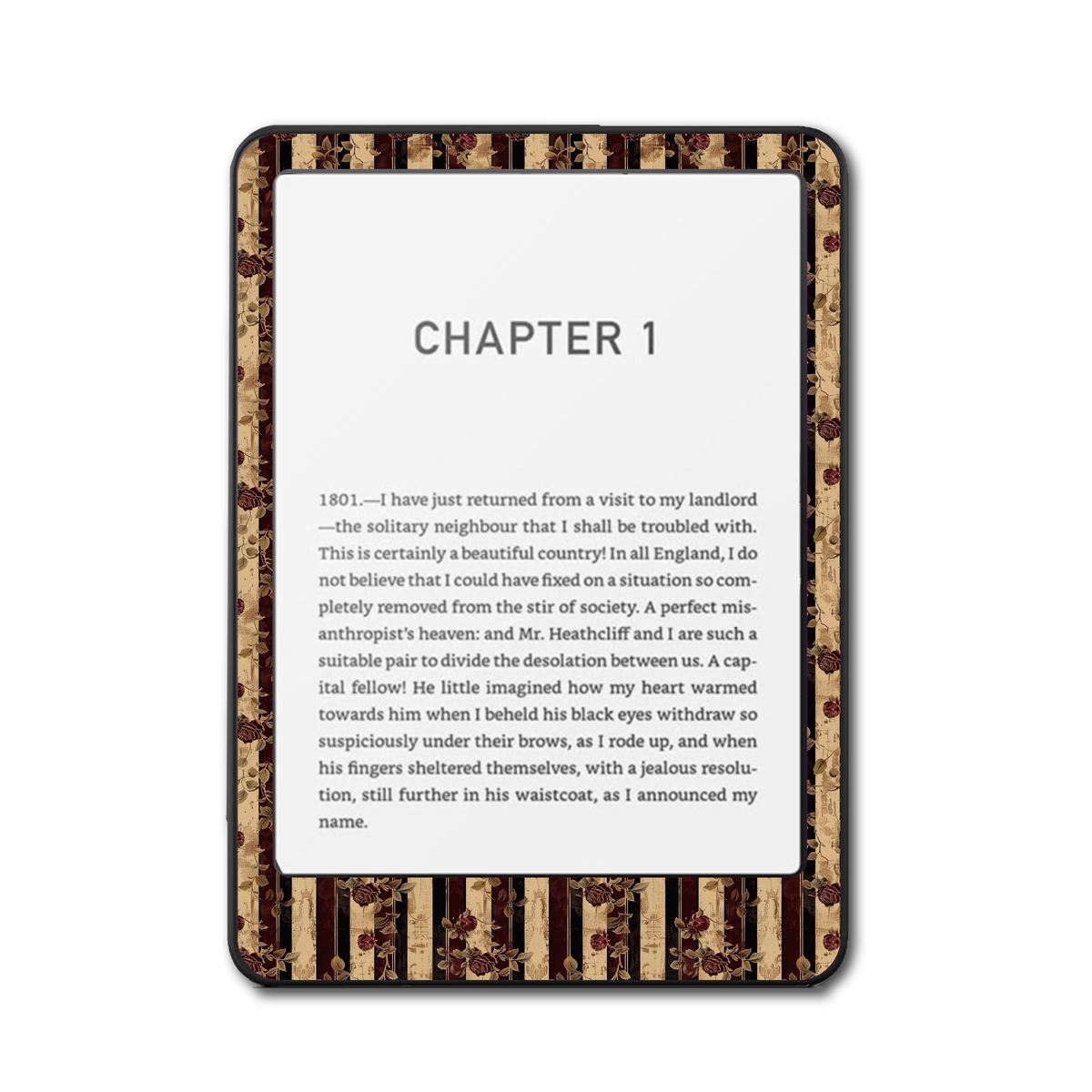 Crimson Stripe Kindle, Kobo and ColorSoft e-reader skin - front view