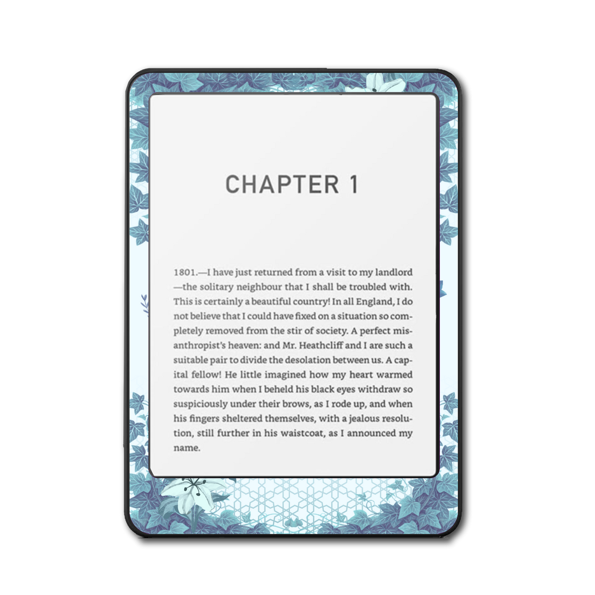 Powder Long Ago Kindle, Kobo and ColorSoft skin front view